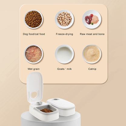 Automatic Pets Food Dispensers