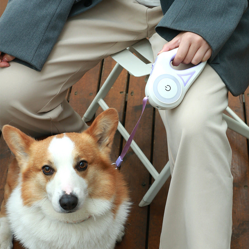 Dog Leash Spotlight Automatic Pet Traction